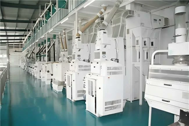 MCHJ150 rice mill plant machinery output 150 tons per day 150 tpd automatic rice mill plant machinery